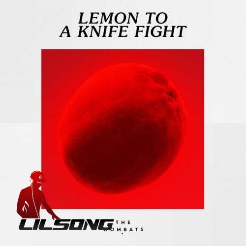 The Wombats - Lemon To A Knife Fight
